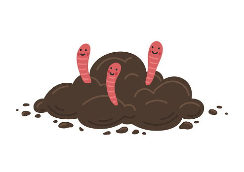 Soil with red worms. Farming and agriculture illustration.