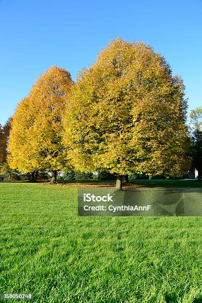 Autumn In A Park Stock Photo - Download Image Now - Autumn, Eastern USA, Easton - Pennsylvania