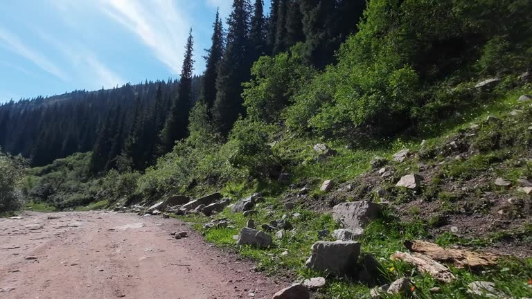 Driving on rocky mountain road along mountain river and high forest rocks. Car point of view