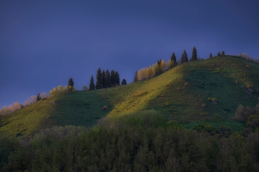 Beautiful evening view of the green hills with trees, firs against a dark stormy sky