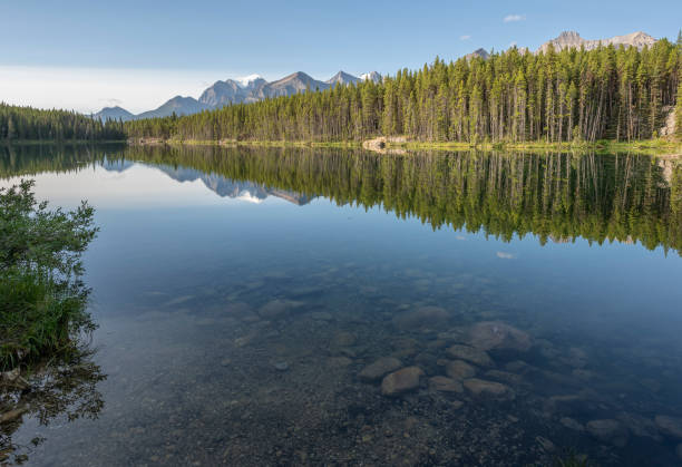 istock Calm Morning at Herbert Lake 1580578881