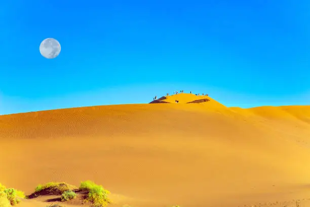 Photo of The Park Namib-Naukluft