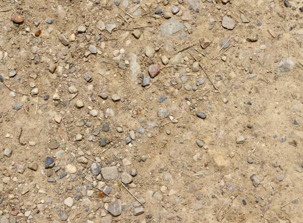 istock Pebbles in the Dry Dirt 1580750782
