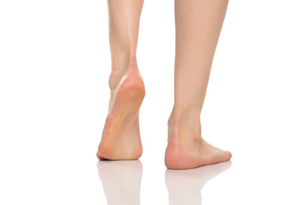 istock Back view of a beautifully cared female bare feet on a white background 1580759262