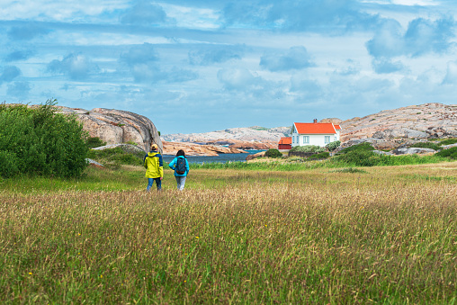 Rear view of two hikers enjoying summer vacation on the grassy trail of Ramsvik Island, Bohuslan, Vastra Gotaland, West Sweden, Sweden, Scandinavia
