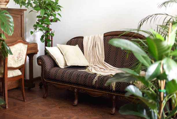 istock Light room decorated with potted plants 1580782176