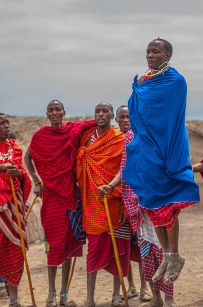 Group of Maasai Warrior men, wearing orange and multi coloured traditional dress. One jumping as part of Maasai adamu, or jumping dance. July 2014. Tanangire National Park, Tanzania