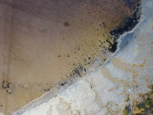 istock Human footprints create a striking pattern in the intricate texture of a swamp 1580785473
