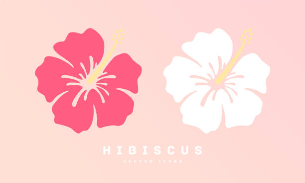 ハイビスカスフラットデザインアイコンベクターイラスト - hibiscus点のイラスト素材／クリップアート素材／マンガ素材／アイコン素材