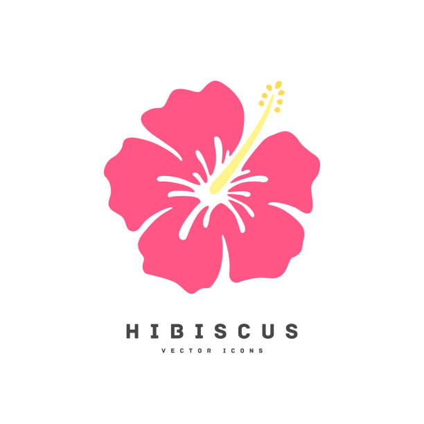 hibiskus-flachdesign-ikonen-vektorillustration - shuri castle stock-grafiken, -clipart, -cartoons und -symbole