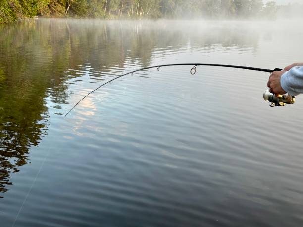 istock Bent fishing pole over water 1580801056