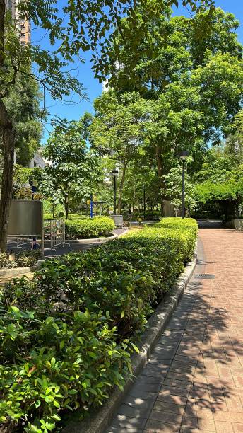 istock Park in Hong Kong 1580808733