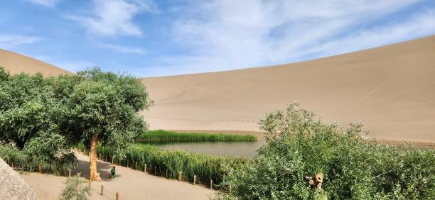 istock Oasis in the desert 1580810404