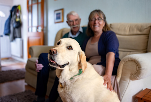 Happy senior couple at home enjoying the company of their dog and smiling - lifestyle concepts