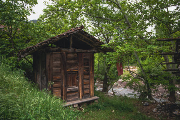 istock old chalets, greenery and nature 1580817939