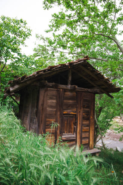 istock old chalets, greenery and nature 1580818015