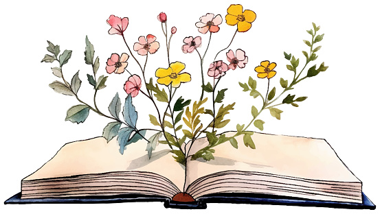 Vector watercolor painting of flowers growing from an old open book, hand-painted isolated.