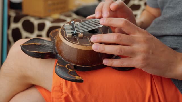 Playing on the African instrument Kalimba turtle. Traditional instrument from Africa close up.