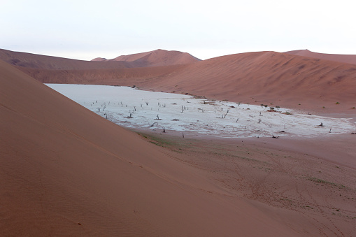 A view of famous Deadvlei in Namibia