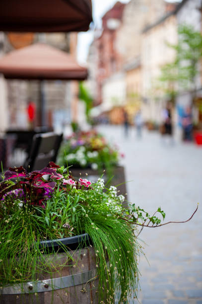 istock Flowers on the terrace . 1580882777