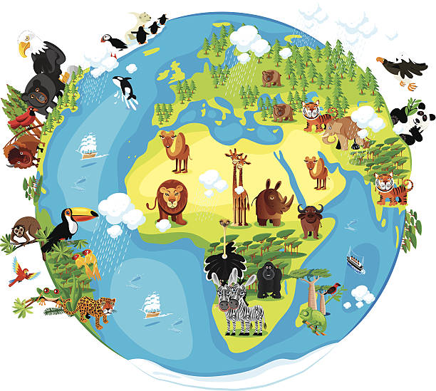 zwierzęta kreskówka, world - tropical rainforest animal cartoon lion stock illustrations