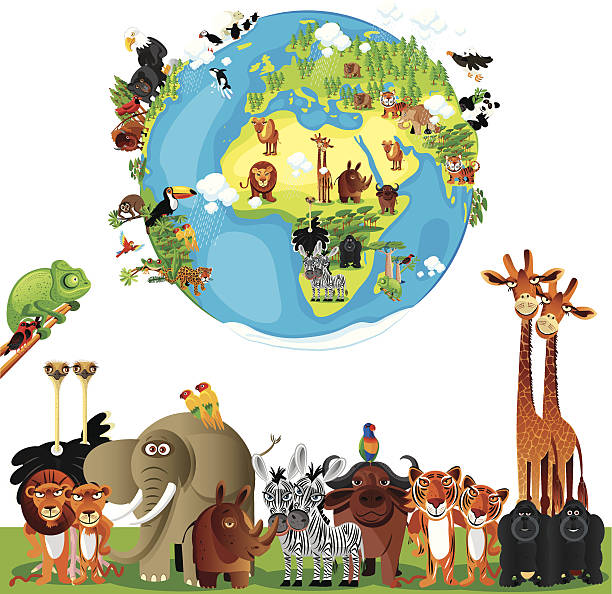 zwierzęta kreskówka, world - tropical rainforest animal cartoon lion stock illustrations