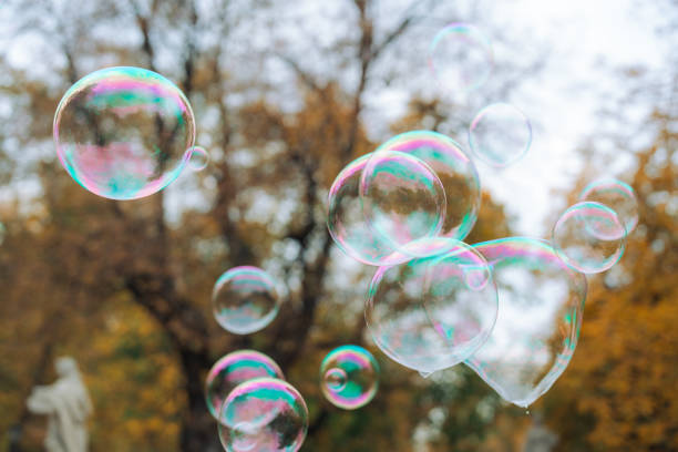 Iridescent soap bubble reflecting Indian trees, isolated on black background. Stunning close-up.