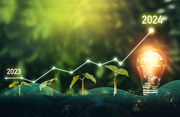 istock Seedlings are growing in soil with growth compared to year 2023-2024and light bulb for innovations and ideas for the new year. Development to success in year 2024. 1580900193