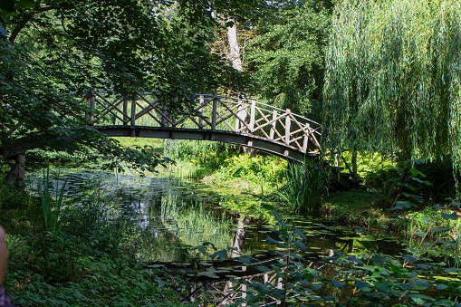 Woman walking in the park, crossing a bridge over the lake on a beautiful October day.