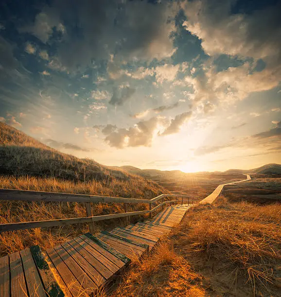 Photo of Way through the dunes