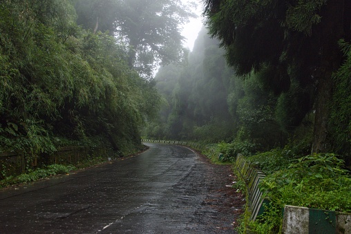 Photo taken in monsoon season in a foggy morning on the way to darjeeling