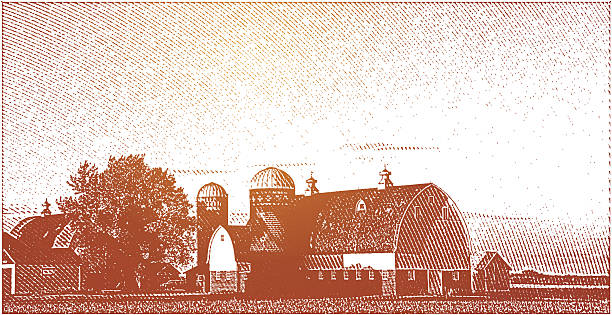 dom w gospodarstwie rolnym i złoty zachód słońca - cross hatching stock illustrations