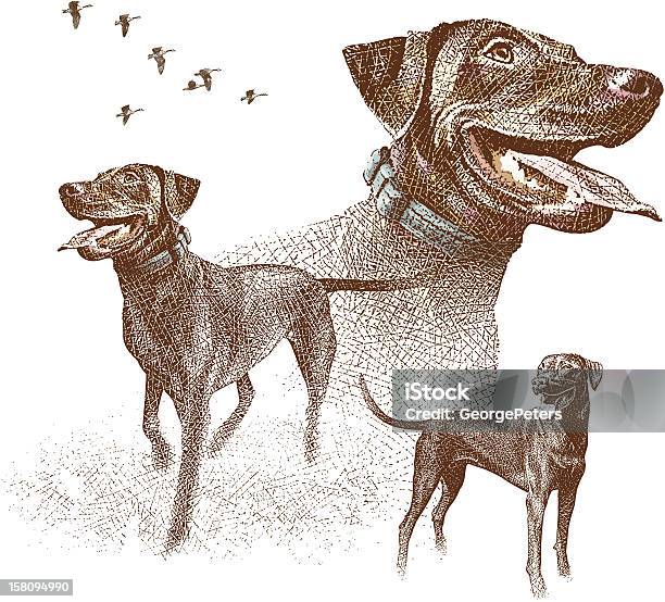 Labrador Retrievers And Geese Etching Stock Illustration - Download Image Now - Labrador Retriever, Dog, Engraved Image