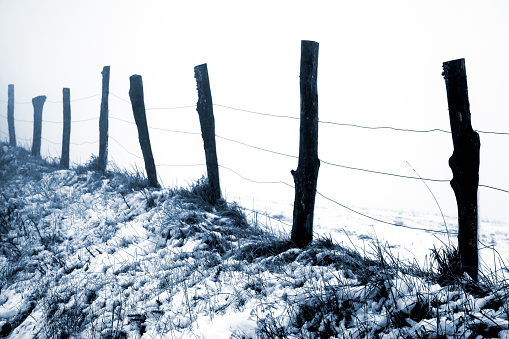 Stakes and wire fence in a rural area, snow cold weather in winter time. Lugo province, Galicia, Spain.