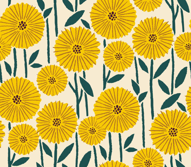 hand gezeichnetes gänseblümchen-nahtloses muster - daisy sunflower stock-grafiken, -clipart, -cartoons und -symbole