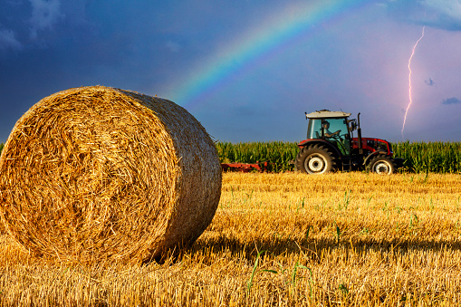 A tractor plowing in the background of a hay bale under a stormy sky with a rainbow. Regardless of the weather, agricultural work does not stop.