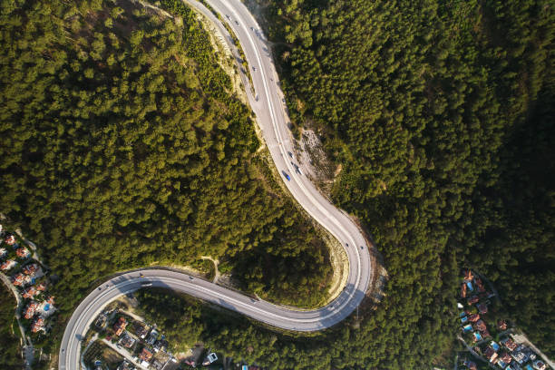 istock Curvy Road in Summer Pine Forest 1580961659