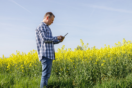 A middle-aged male agronomist farmer with a digital tablet examines the fields with a rapeseed crop and writes the data into an electronic device. Farming and modern technologies