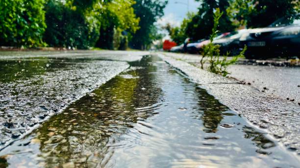 istock After rain in Novi Sad 1580984987