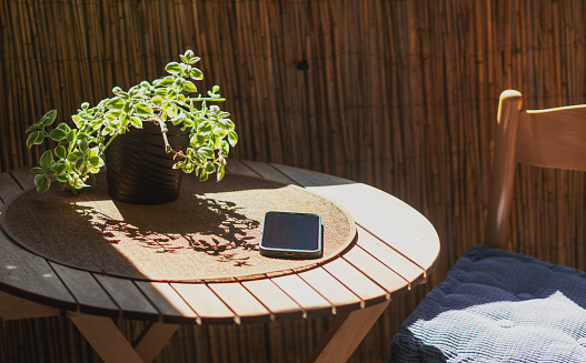 Smartphone and plant pot on a wooden table on the balcony