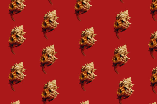 istock Abstract pattern with marine theme represented by a sea shell with a yellow daisy flower on luscious red background. 1581013091