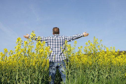 A male farmer agronomist stands in a field with his arms outstretched to the sides. A man enjoys nature and solitude. Farmer stands in the harvest field