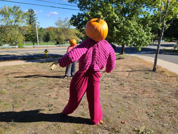 istock Back of Pumpkin Scarecrow 1581091064