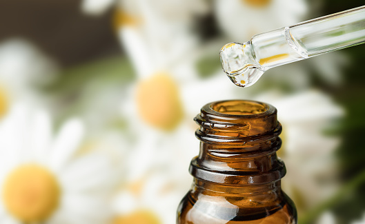chamomile essential oil. a drop of oil drips into a bottle against the background of chamomile flowers