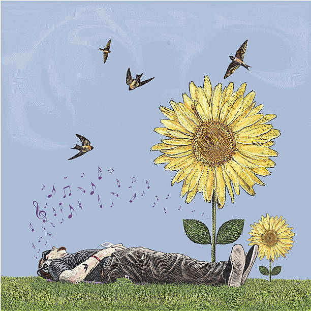 młody człowiek leżenie na trawie słuchanie muzyki w pobliżu sunflowers - music summer day dreaming sunflower stock illustrations