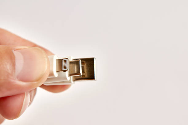 istock Hold the USB  Lightning and USB C, USB connectors in your hand 1581205054