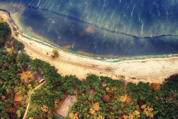 istock Aerial view of river 1581215813