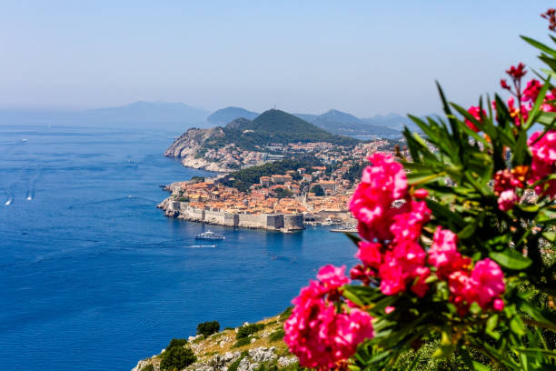 istock Dubrovnik old city and flowers 1581229564