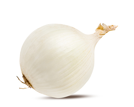 White onion isolated on white background  with clipping path