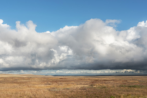 agriculture landscape with single cloud